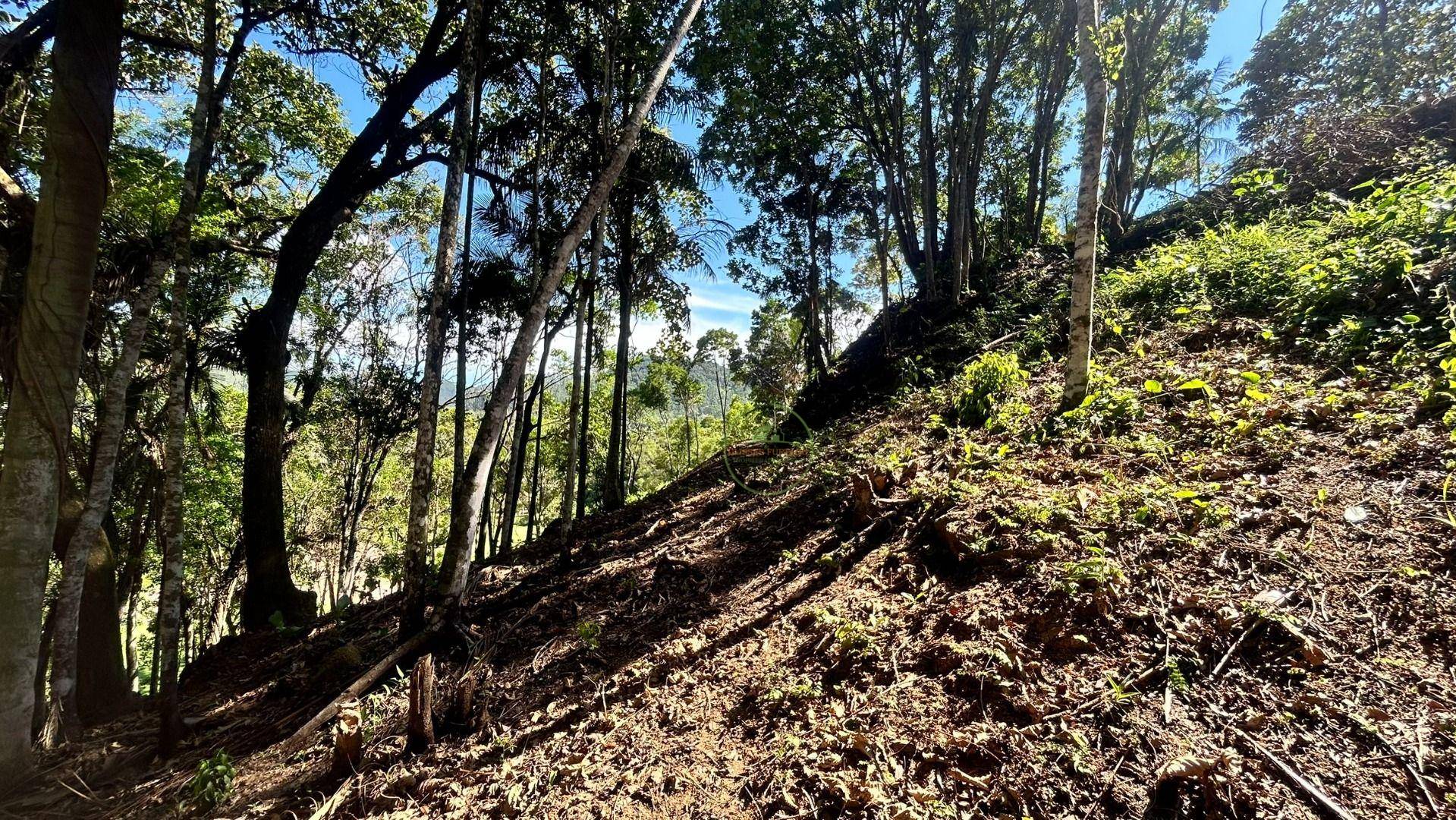 Chácara, 2 quartos, 6000 m² - Foto 4