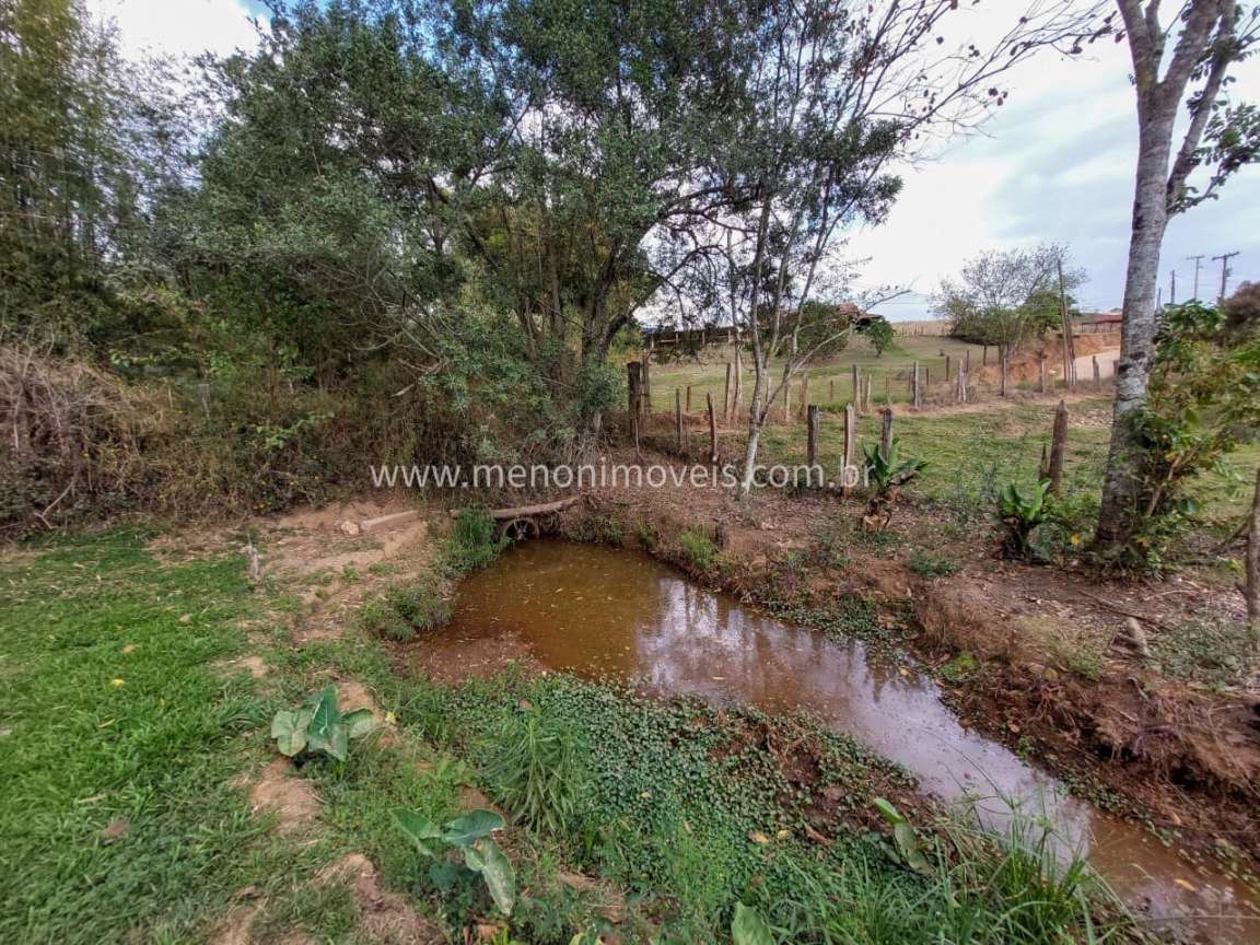 Chácara à venda com 3 quartos, 7500m² - Foto 17