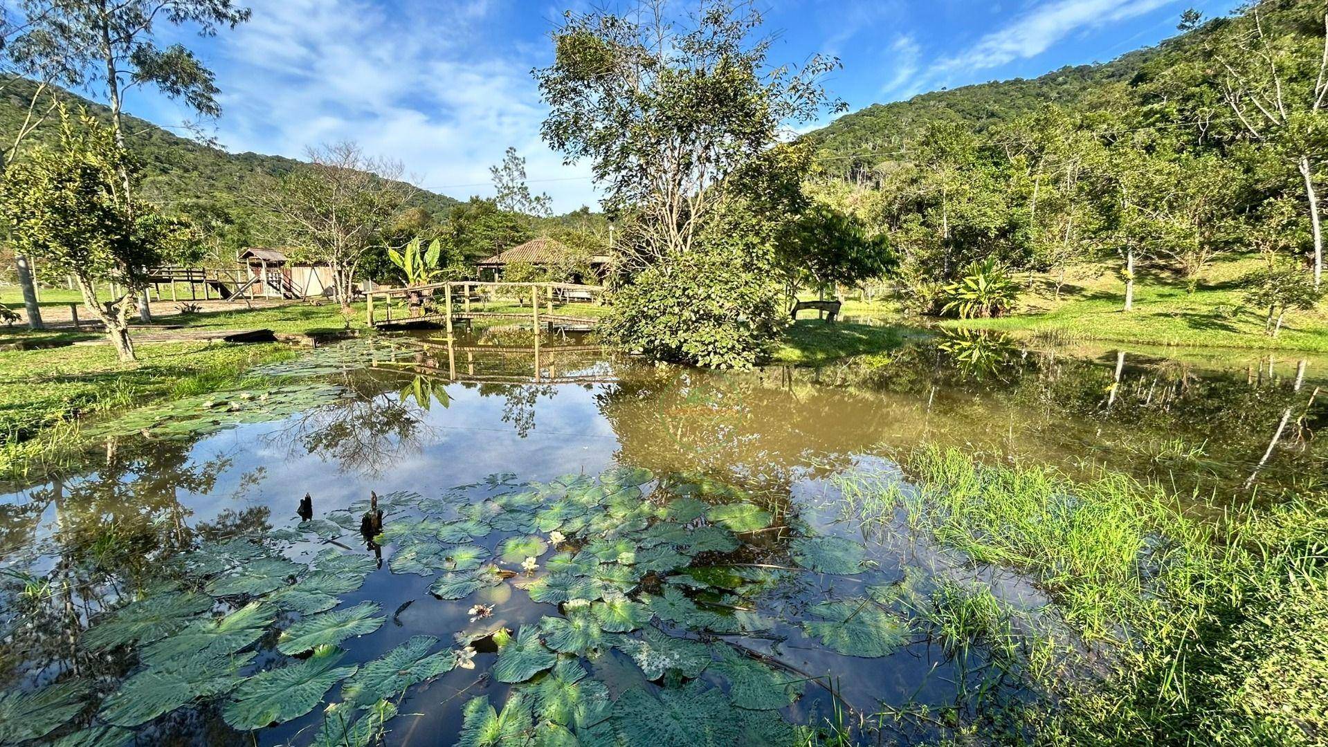 Sítio, 24 m² - Foto 31