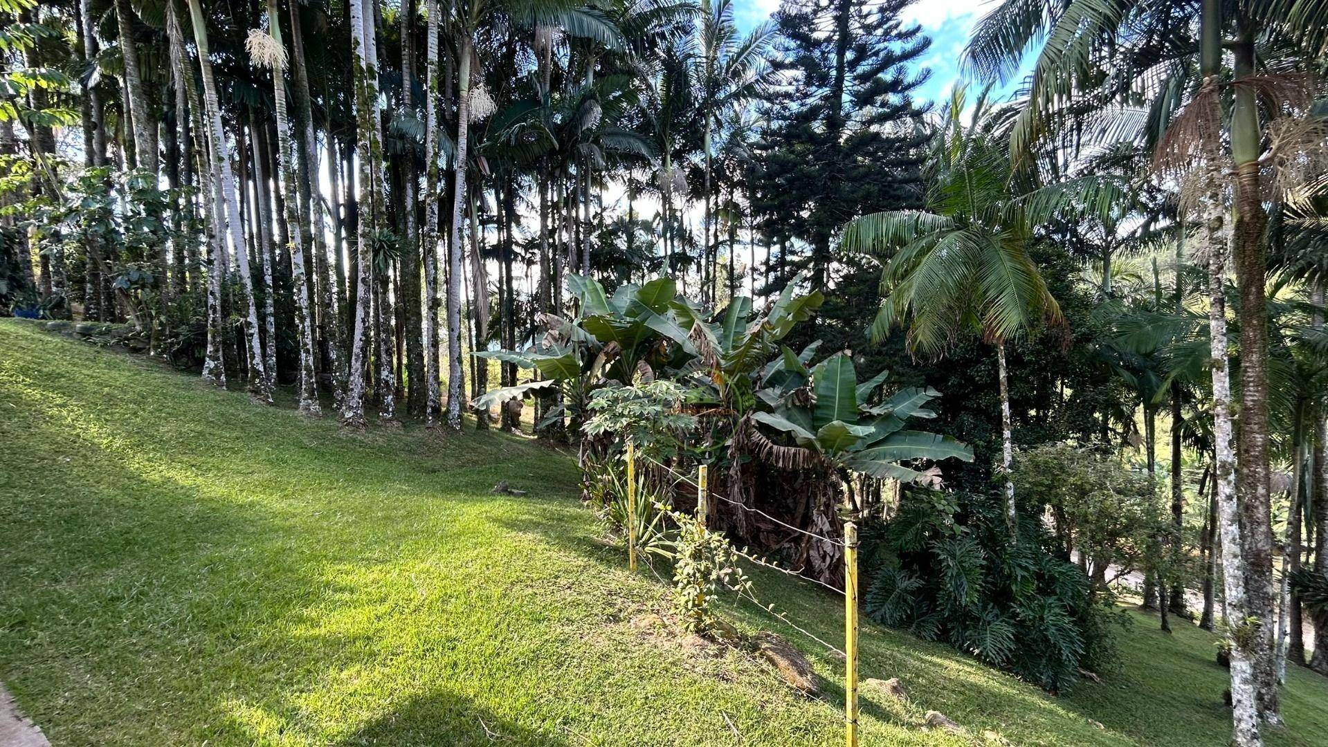 Sítio, 3 hectares - Foto 51