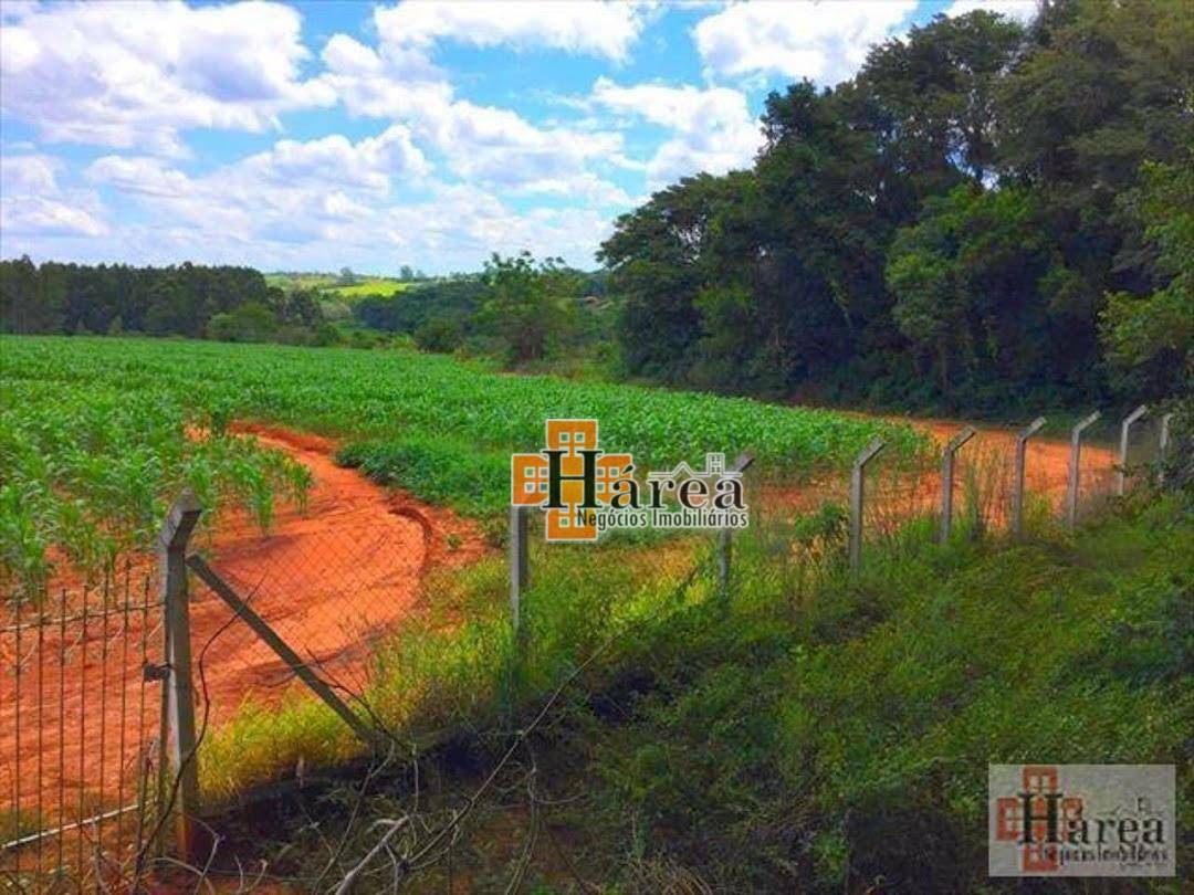 Sítio à venda, 121000M2 - Foto 2