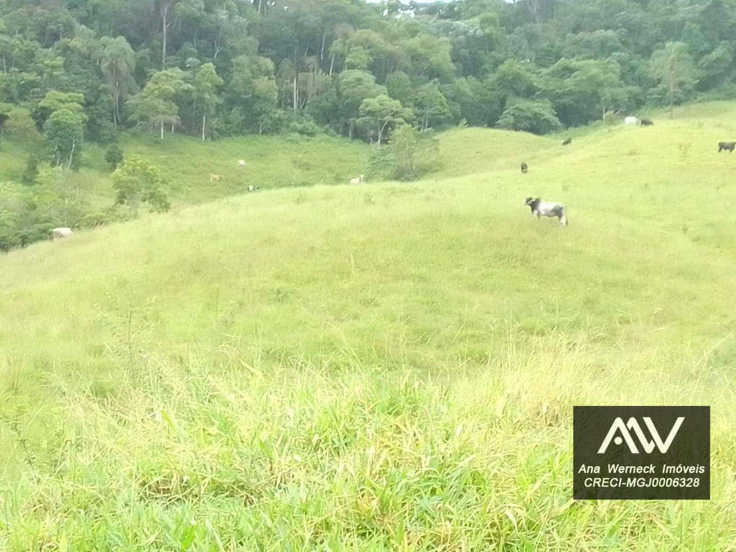 Chácara à venda com 1 quarto, 150000M2 - Foto 20