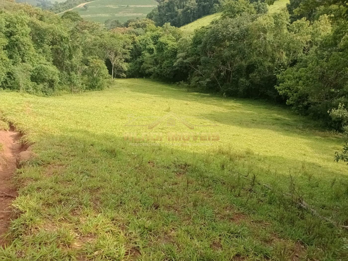 Fazenda à venda com 4 quartos, 7m² - Foto 23