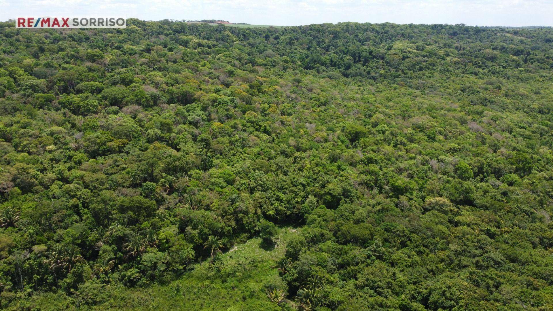 Fazenda à venda, 750000M2 - Foto 4