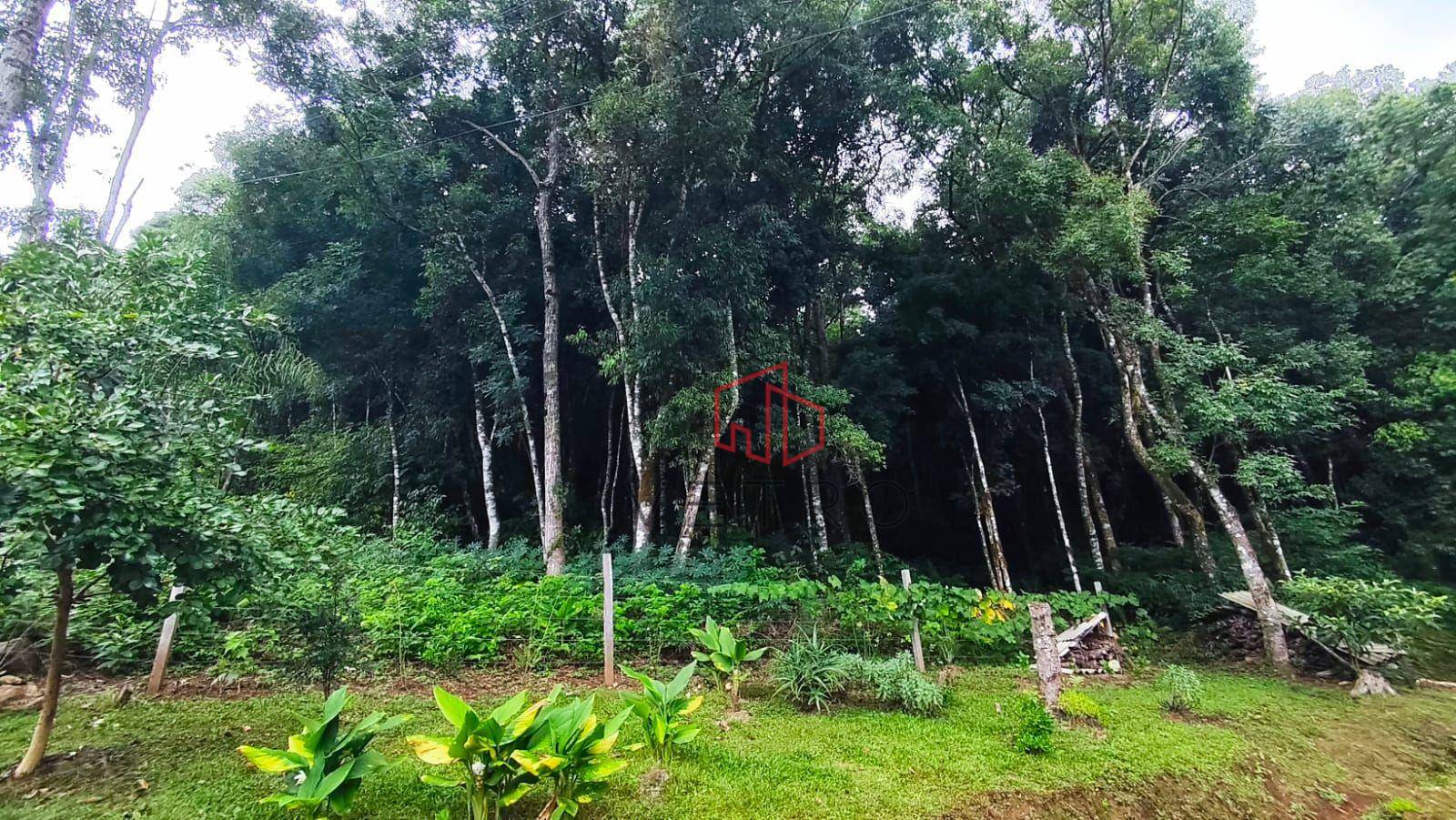 Sítio, 1 hectares - Foto 2