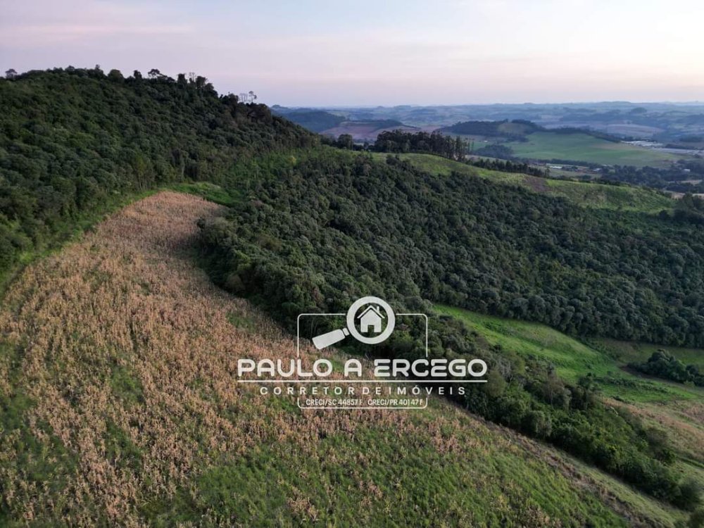 Fazenda à venda, 8m² - Foto 3