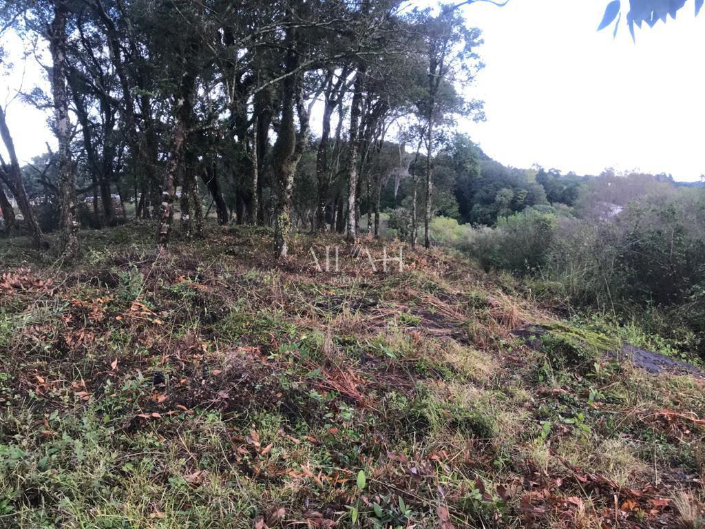Terreno à venda, 527m² - Foto 10
