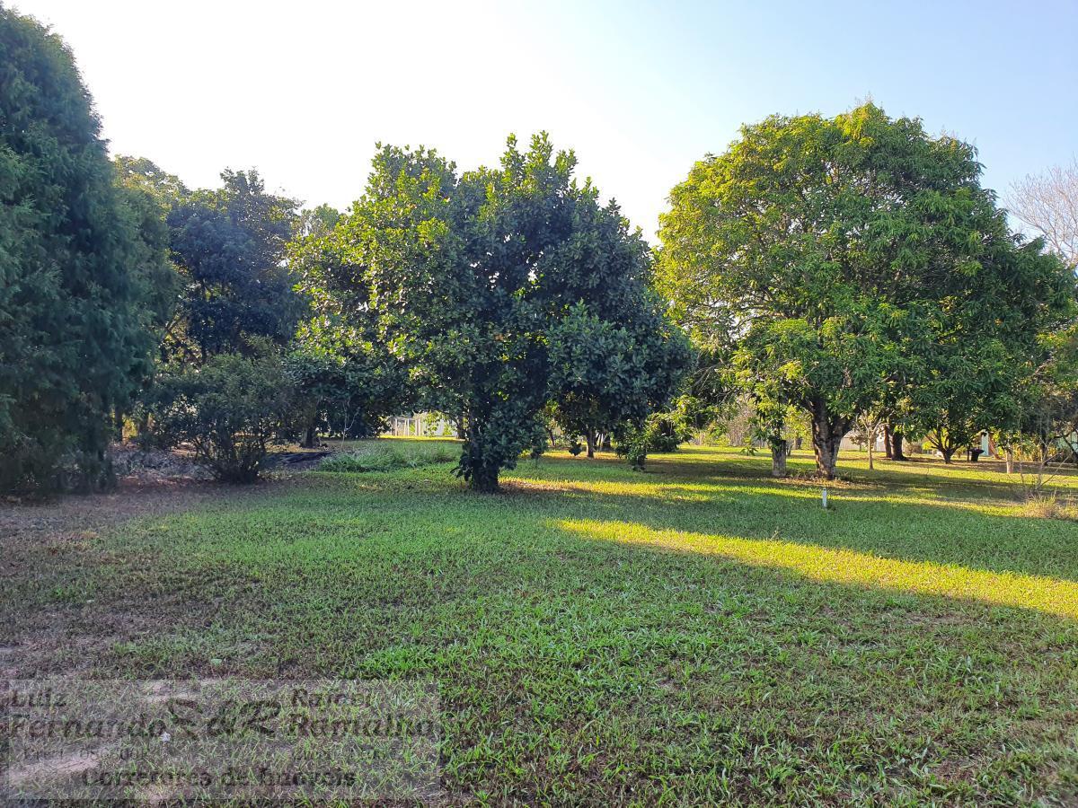 Fazenda à venda com 4 quartos, 5600m² - Foto 62