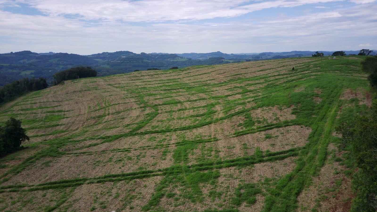 Loteamento e Condomínio à venda, 60000m² - Foto 1