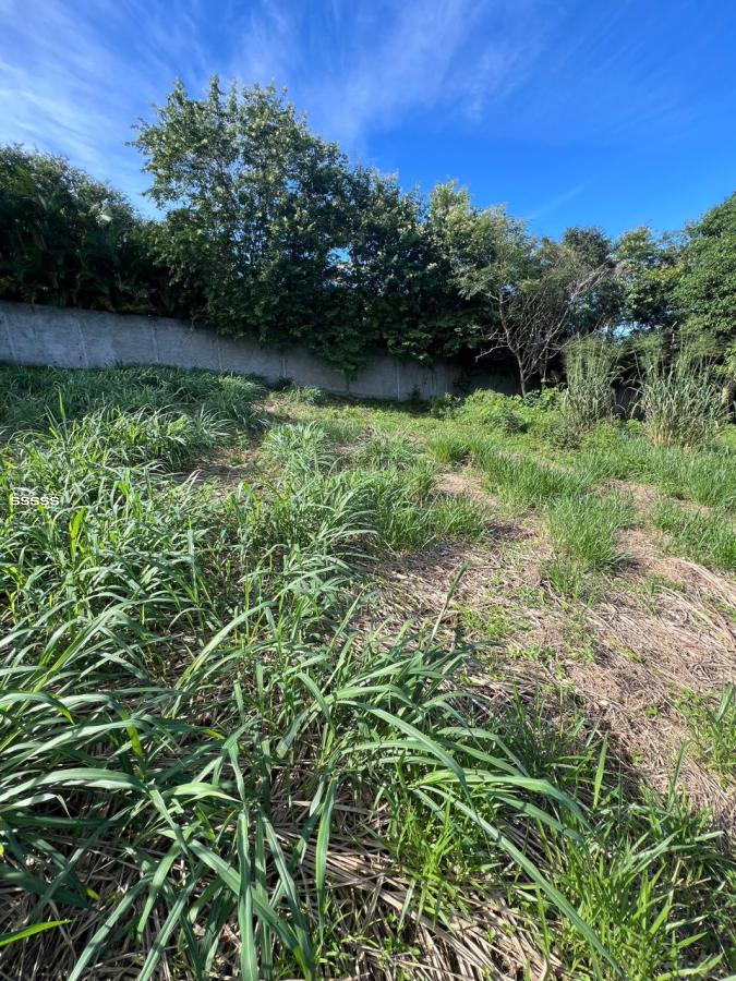 Terreno à venda, 455m² - Foto 20