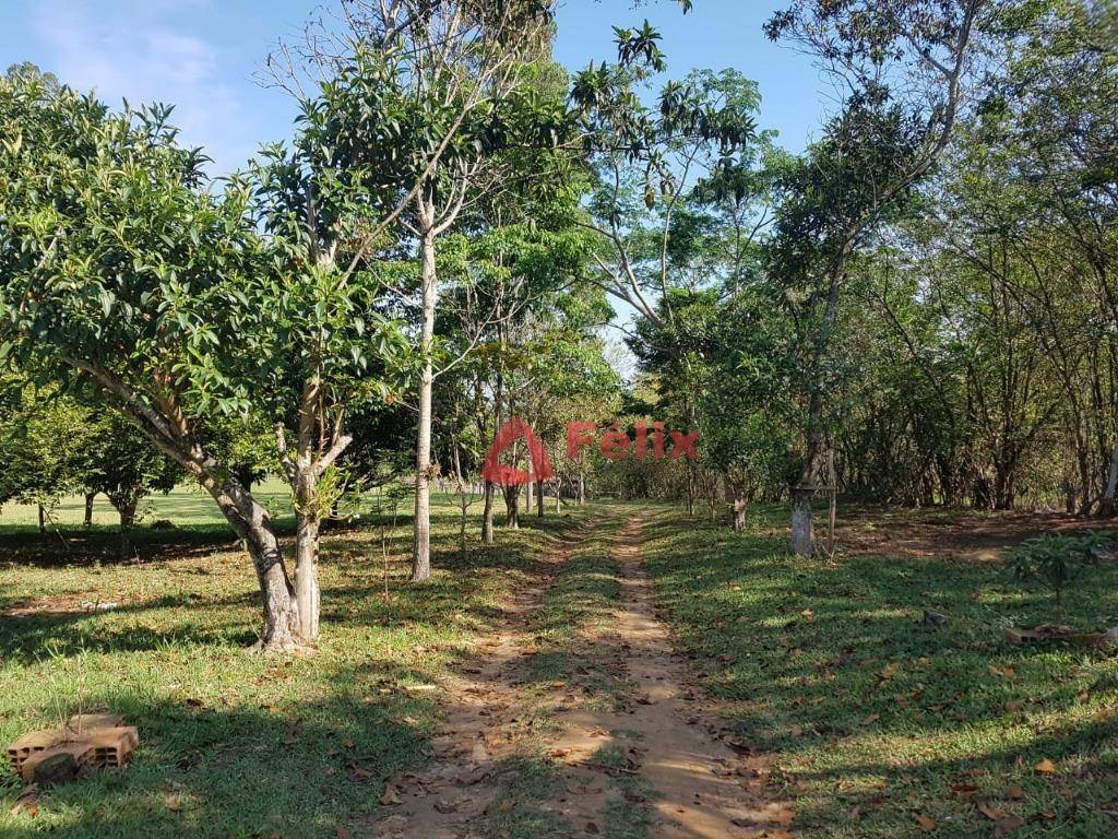 Chácara à venda com 4 quartos, 264m² - Foto 4