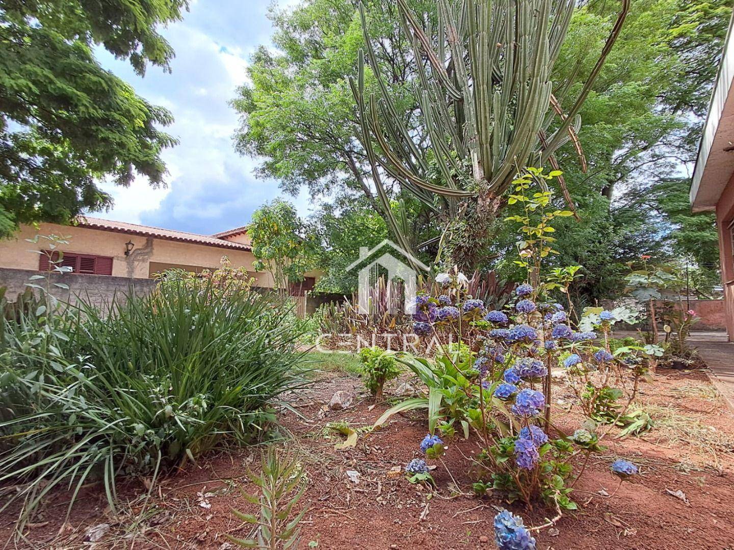 Casa, 4 quartos, 245 m² - Foto 4