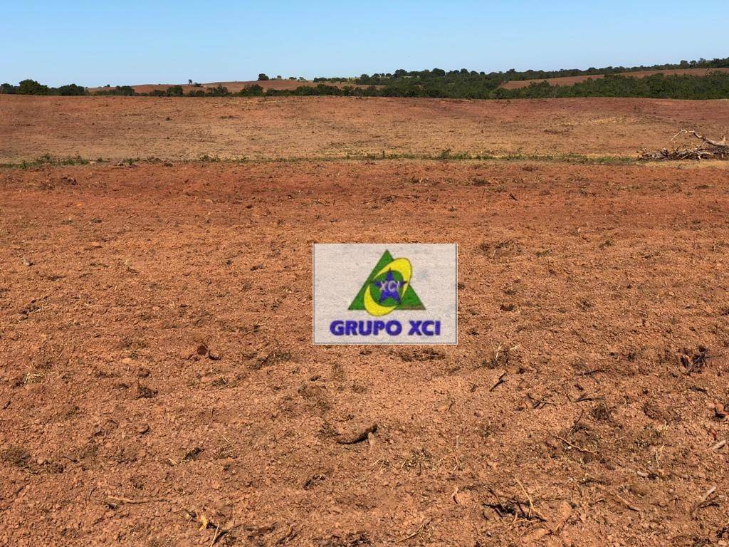 Fazenda-Sítio-Chácara, 1152 hectares - Foto 8