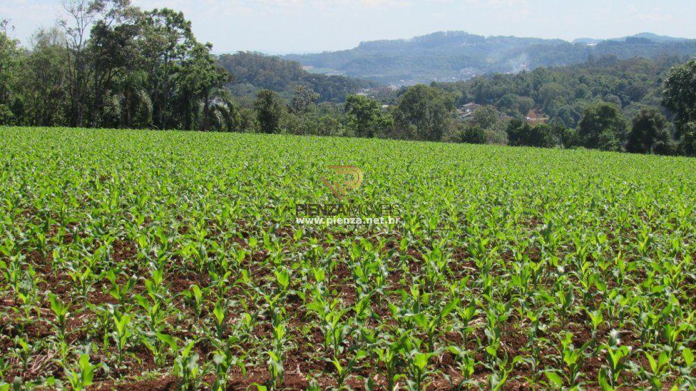 Loteamento e Condomínio à venda, 108000m² - Foto 10