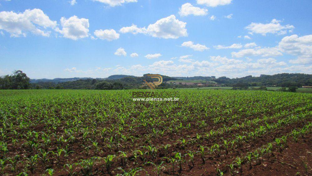 Loteamento e Condomínio à venda, 108000m² - Foto 6