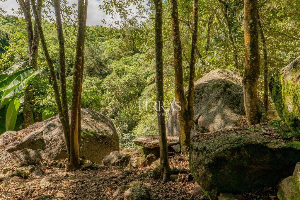 Fazenda, 11 hectares - Foto 4