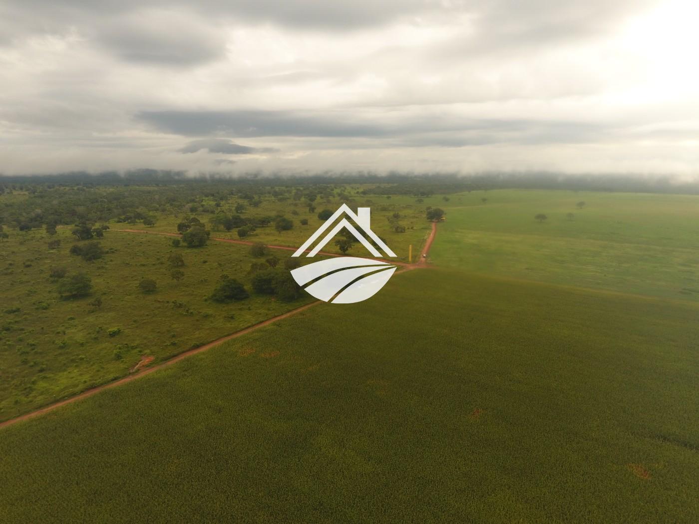 Fazenda à venda, 1m² - Foto 17