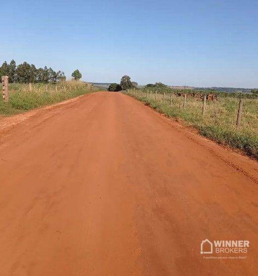 Chácara à venda com 1 quarto, 10000M2 - Foto 5