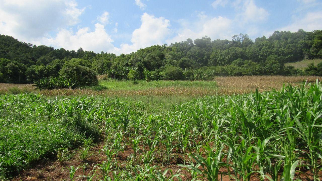 Loteamento e Condomínio à venda, 103000m² - Foto 41