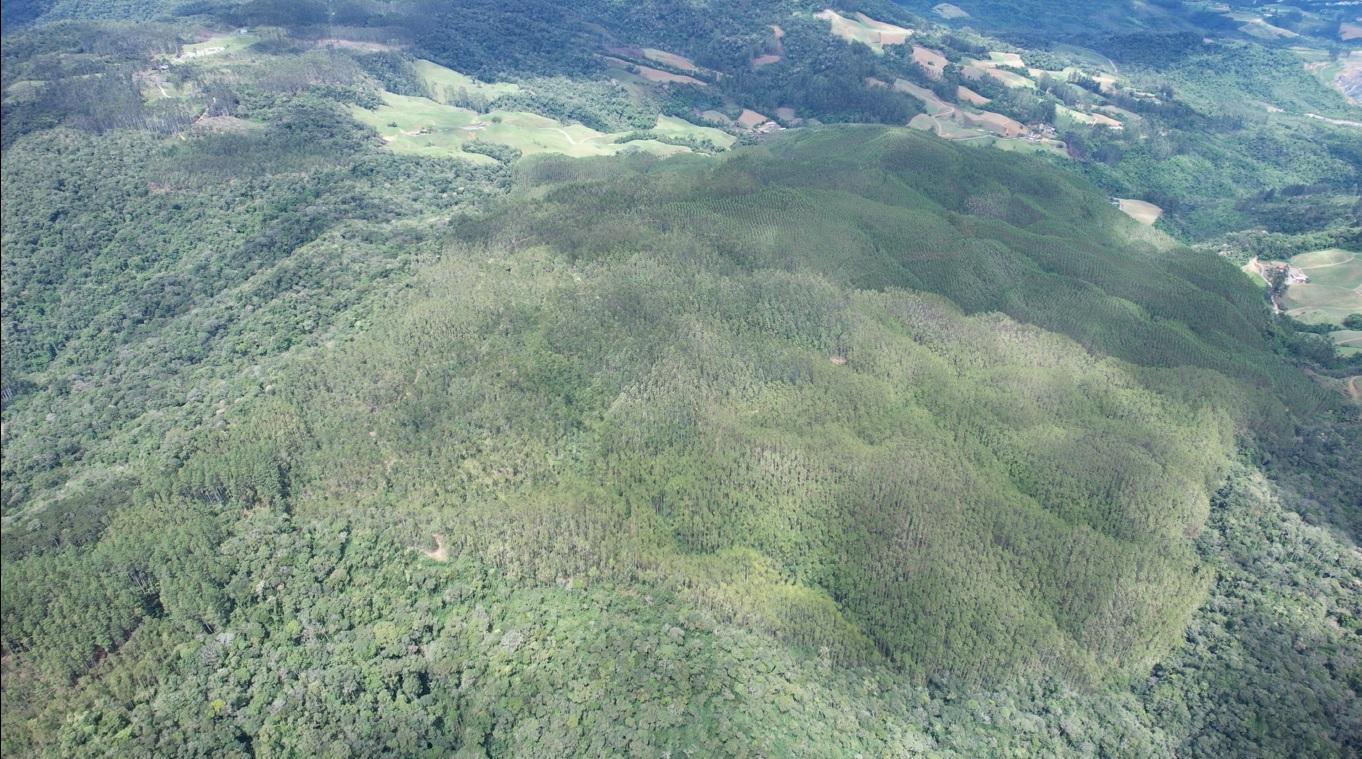 Fazenda à venda, 1564600m² - Foto 35