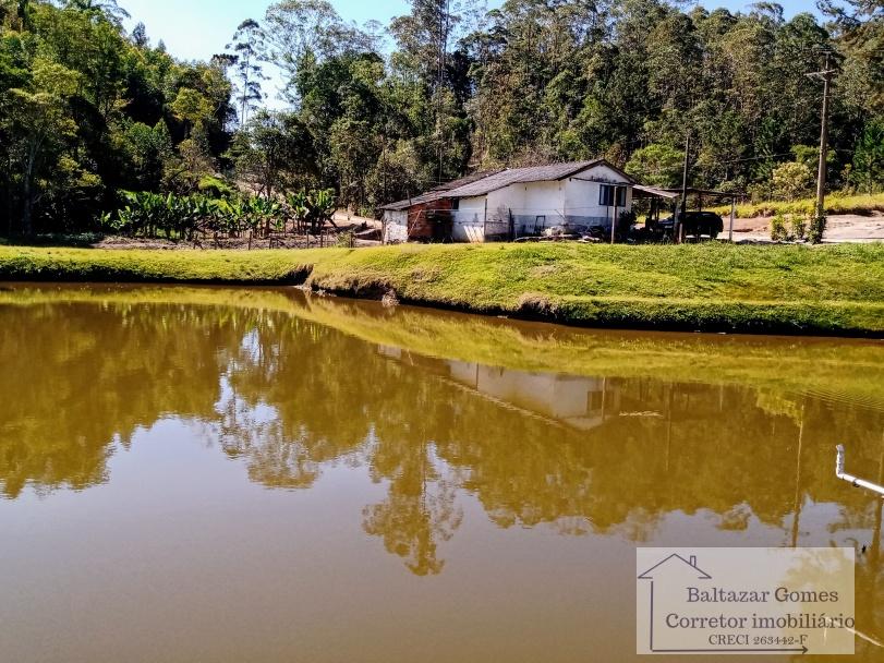 Sítio à venda com 4 quartos, 11m² - Foto 20