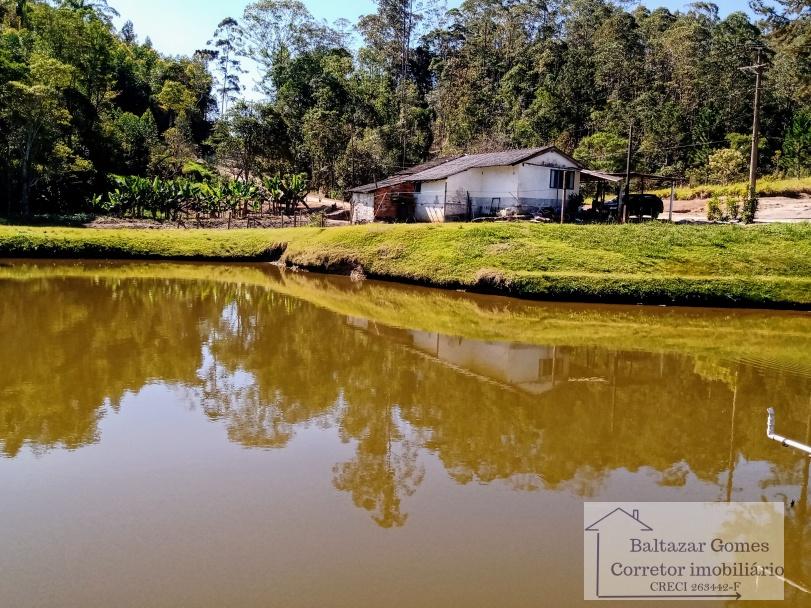 Fazenda à venda com 4 quartos, 11m² - Foto 20