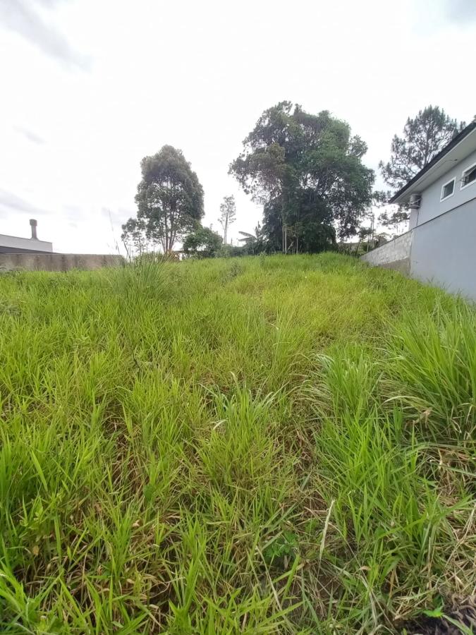 Terreno à venda, 360m² - Foto 6