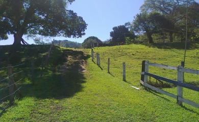 Fazenda à venda com 3 quartos, 40000m² - Foto 25