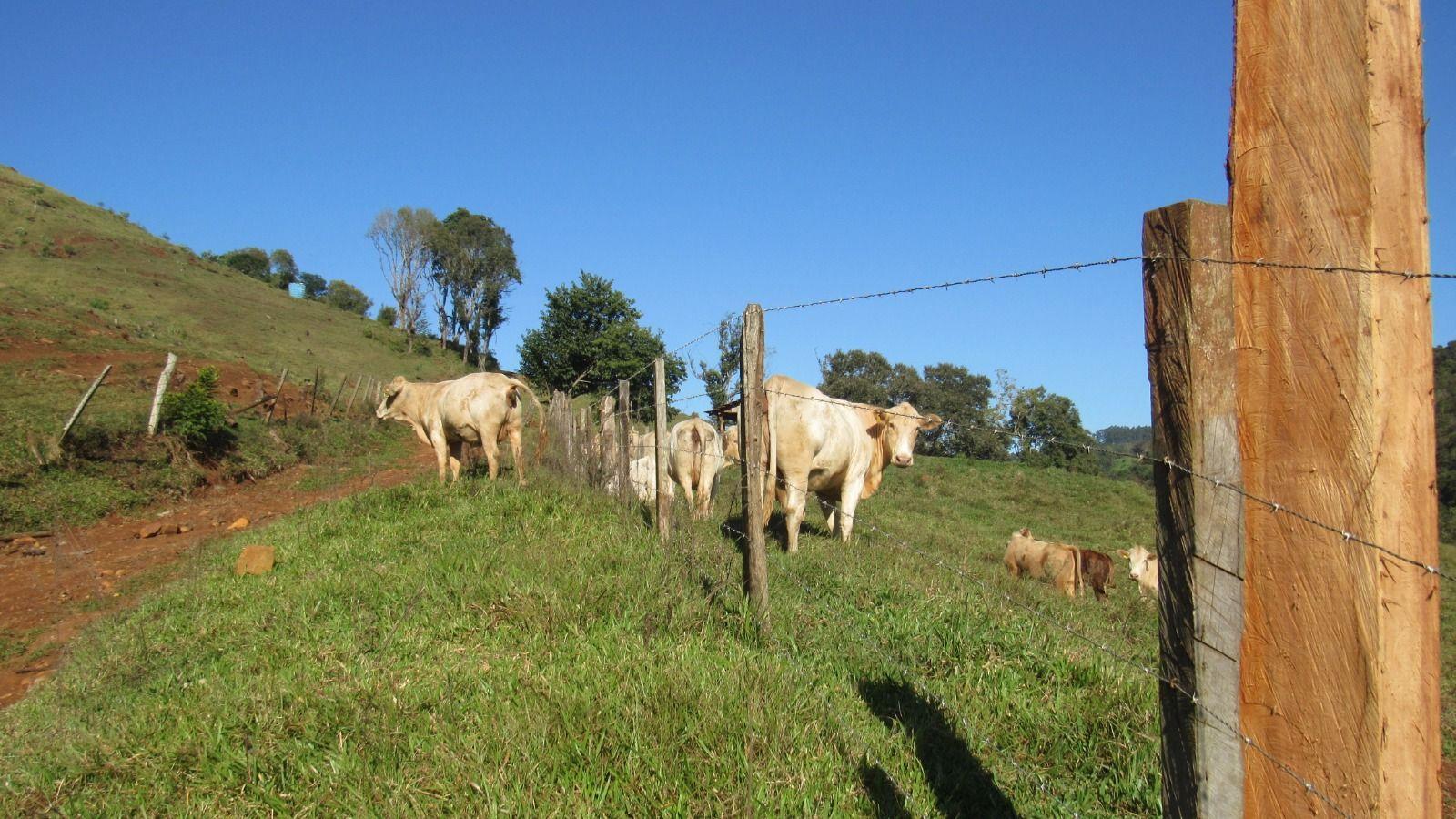 Fazenda à venda, 2240000m² - Foto 28