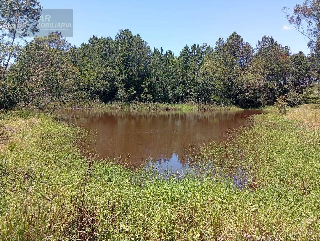 Terreno, 4 hectares - Foto 25