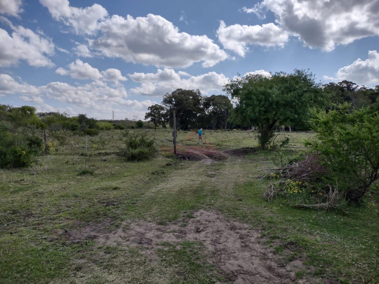 Fazenda-Sítio-Chácara - Foto 25