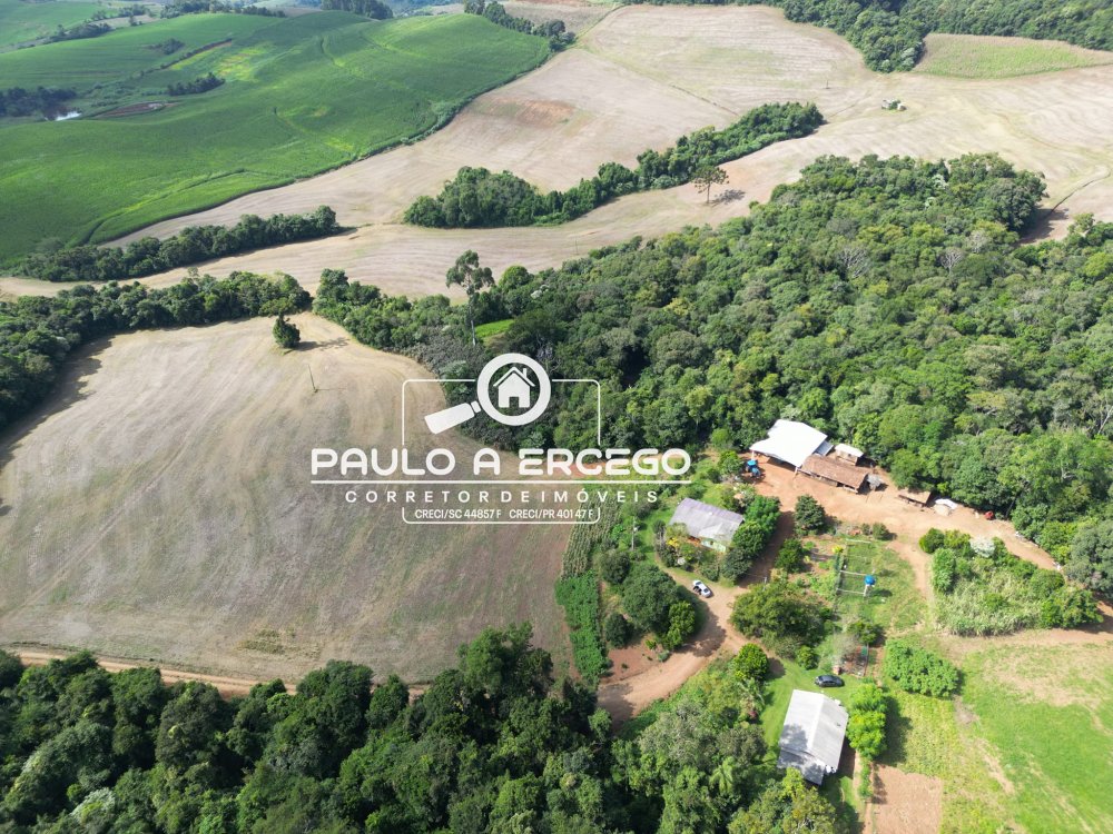 Sítio, 41 hectares - Foto 1