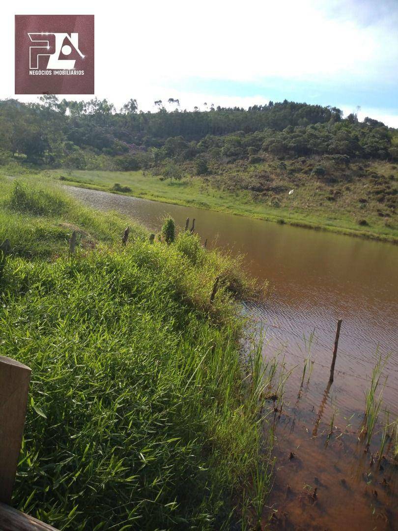 Fazenda à venda com 4 quartos, 1452000M2 - Foto 42