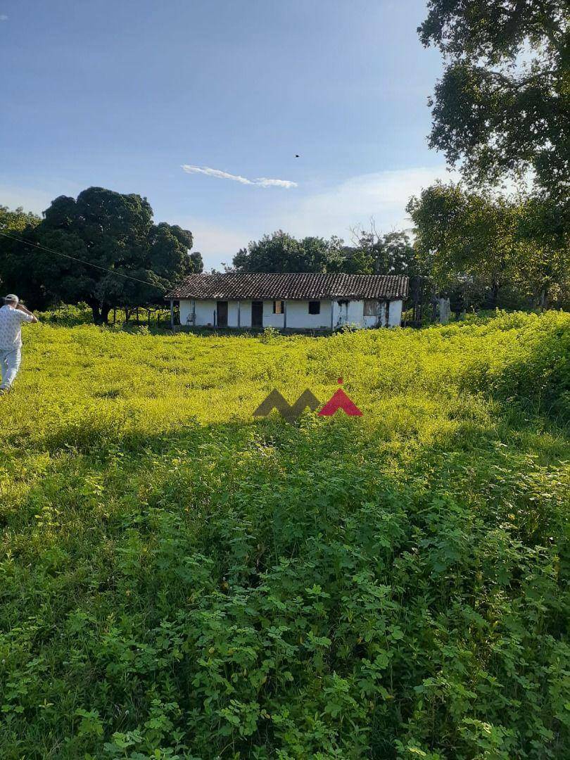 Fazenda à venda com 1 quarto, 43463200M2 - Foto 5