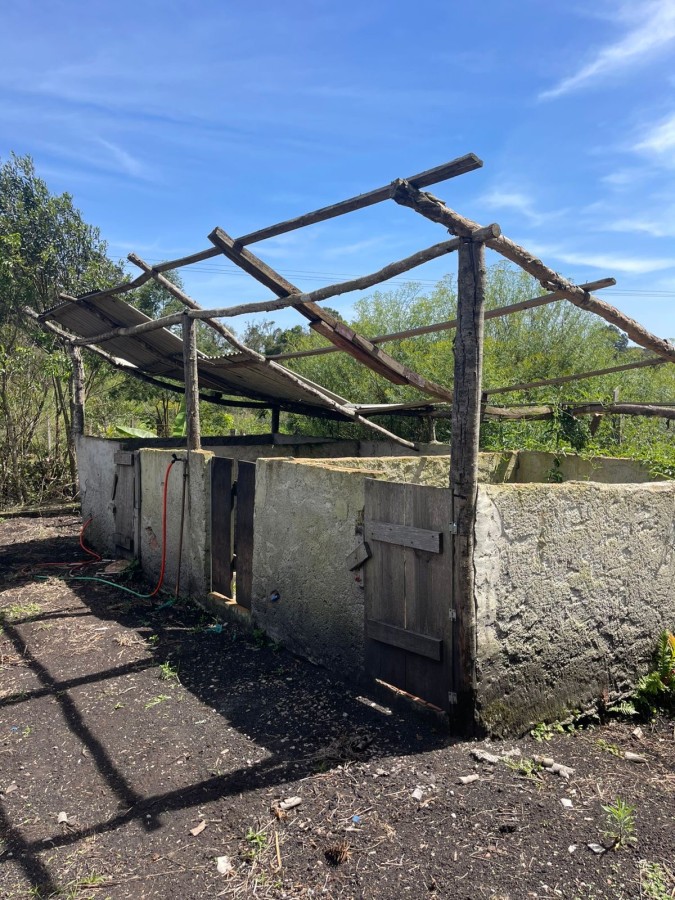 Chácara, 10000 m² - Foto 31