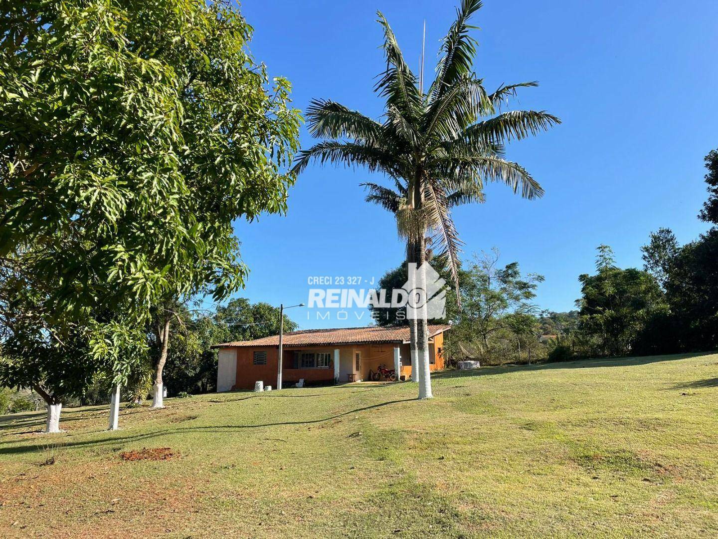 Sítio à venda com 2 quartos, 800m² - Foto 4
