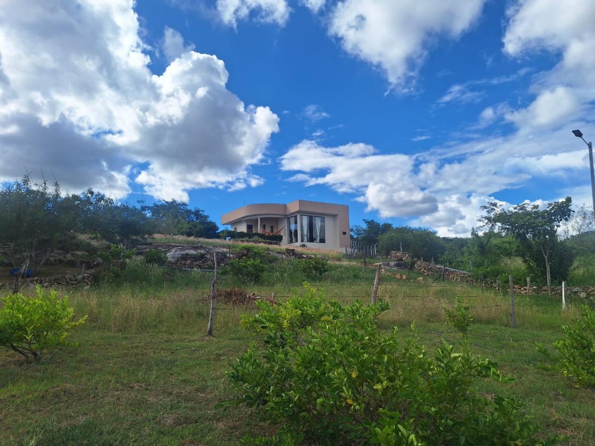 Fazenda-Sítio-Chácara, 5065 m² - Foto 3