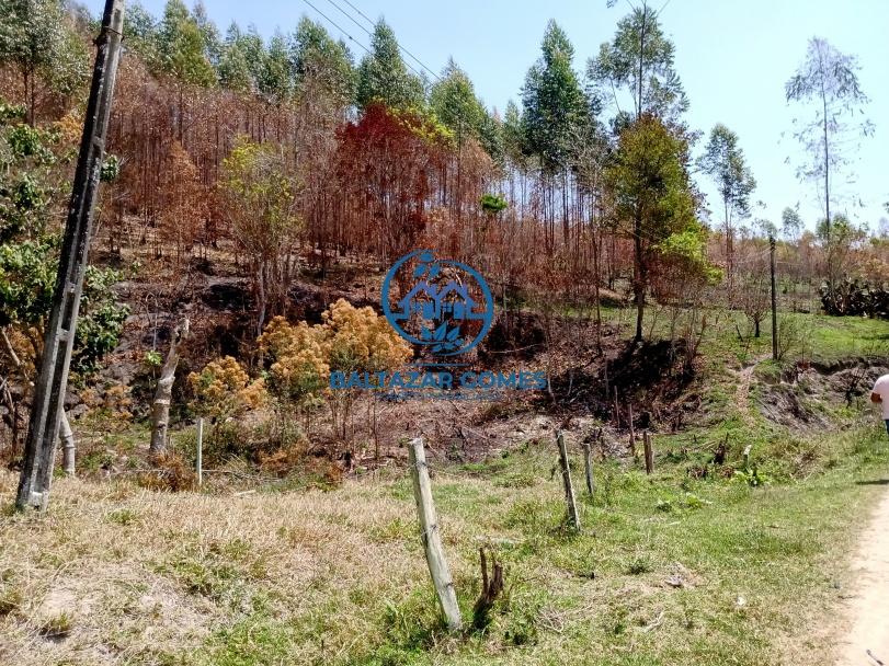 Fazenda à venda com 2 quartos, 11m² - Foto 13