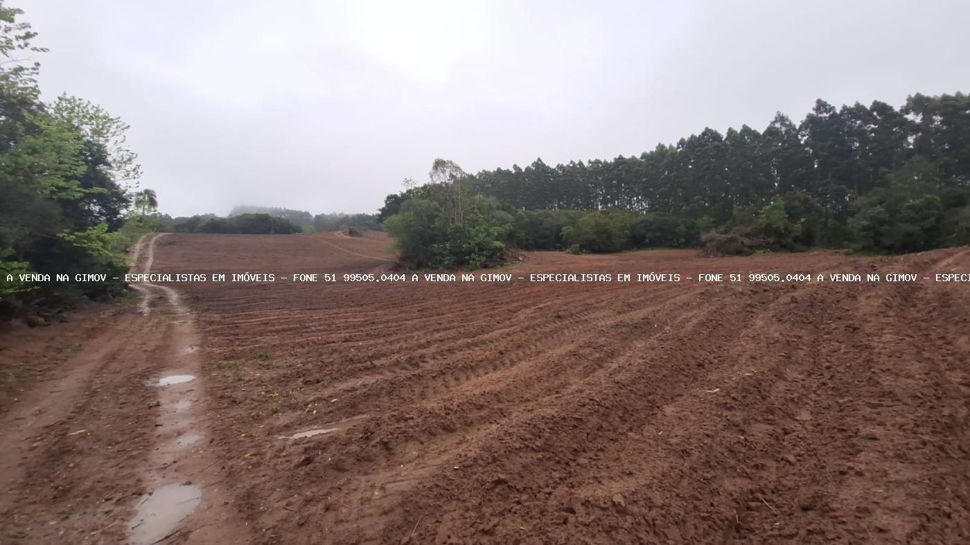 Fazenda à venda com 2 quartos, 141000m² - Foto 25