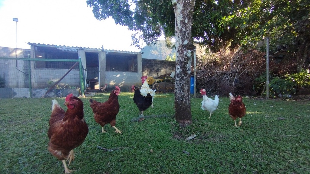 Casa de Condomínio à venda com 3 quartos, 5000m² - Foto 31