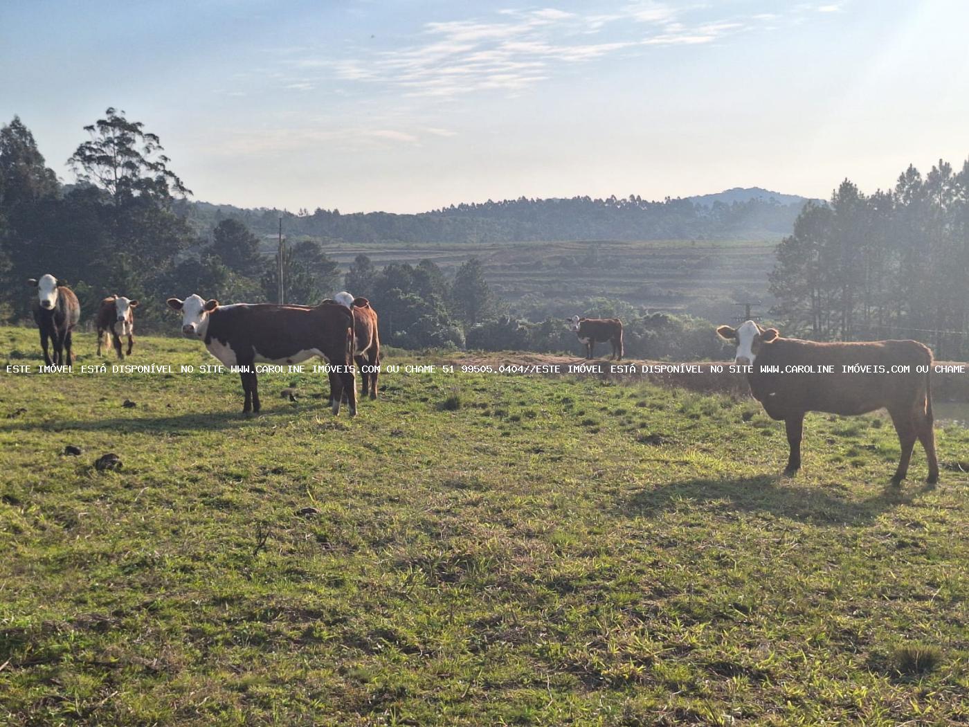 Fazenda à venda, 80000m² - Foto 37