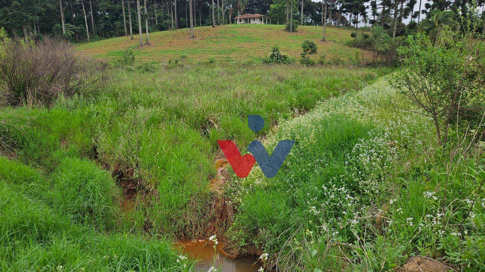 Fazenda à venda com 3 quartos, 1694000M2 - Foto 15