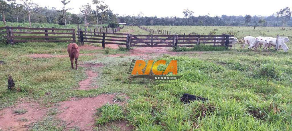 Fazenda à venda com 2 quartos, 2900000M2 - Foto 9