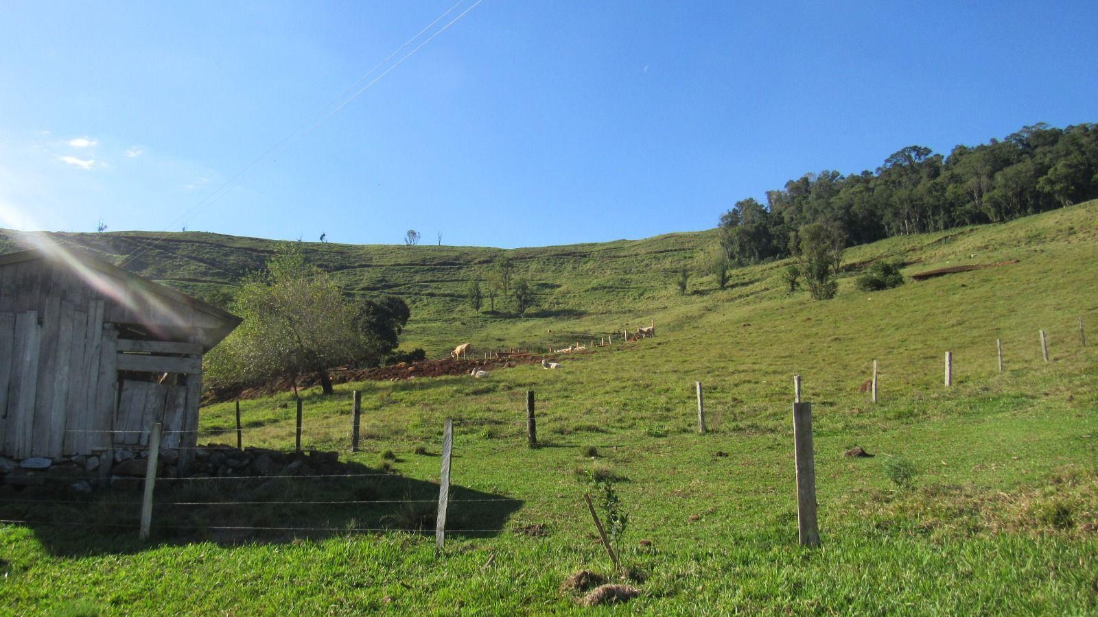 Fazenda à venda, 2240000m² - Foto 30