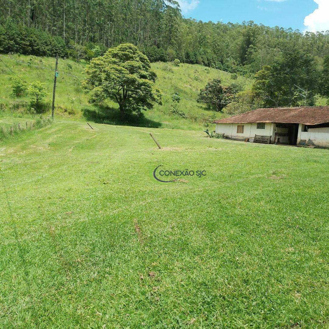 Fazenda à venda com 3 quartos, 1452000M2 - Foto 7