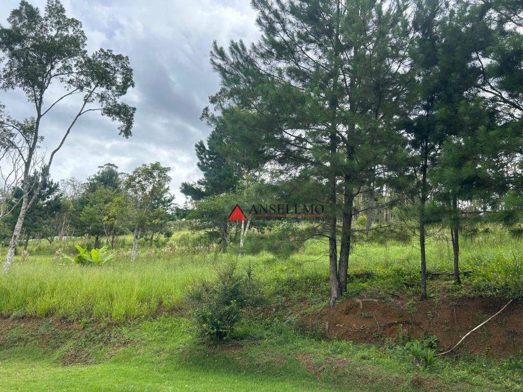 Chácara à venda com 3 quartos, 200m² - Foto 6