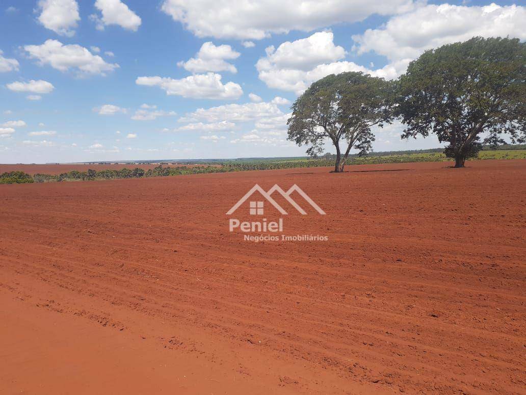 Fazenda à venda, 2202200M2 - Foto 4