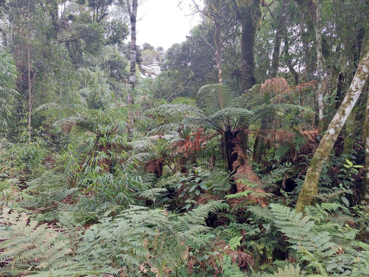 Loteamento e Condomínio à venda, 4060M2 - Foto 3