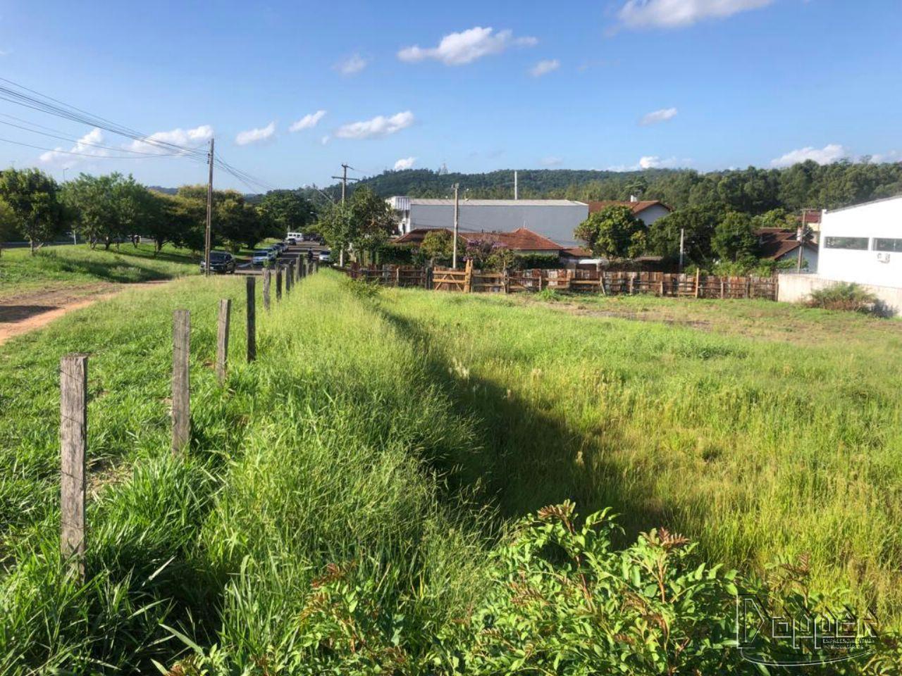 Terreno à venda - Foto 4