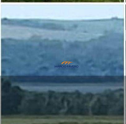 Fazenda, 315 hectares - Foto 7